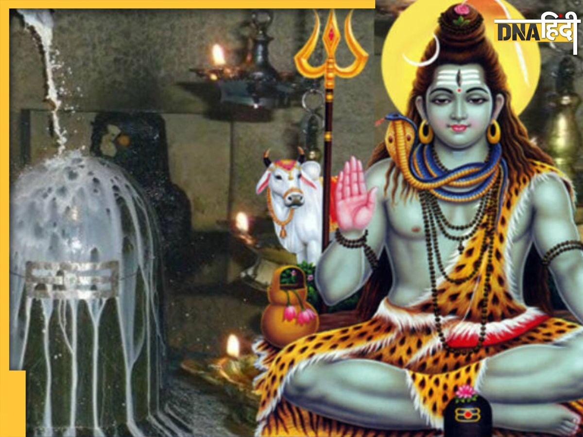 Mahashivratri 2024: महाशिवरात्रि से पहले इन चीजों का दिखना देता है भाग्योदय का संकेत, प्राप्त होती है महादेव की कृपा