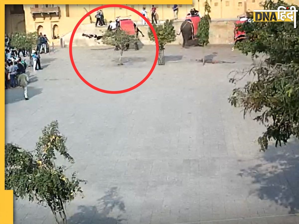 Elephant Attack Video: Jaipur के आमेर महल में भड़की हथिनी, सूंड में उठाकर पटकी रूसी पर्यटक