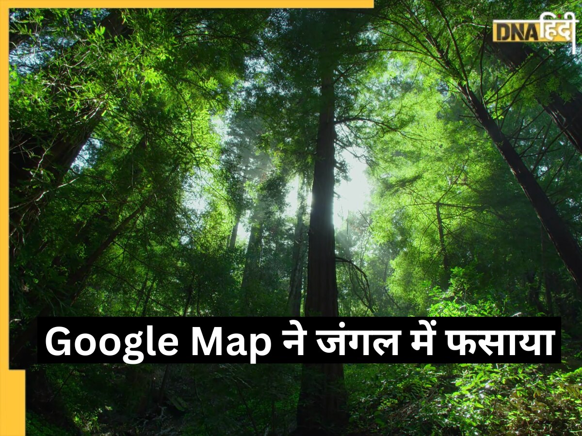 Google Map ने बताया ऐसा रास्ता, हफ्तों तक जंगल में भटकते रहे टूरिस्ट