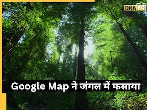 Google Map ने बताया ऐसा रास्ता, हफ्तों तक जंगल में भटकते रहे टूरिस्ट