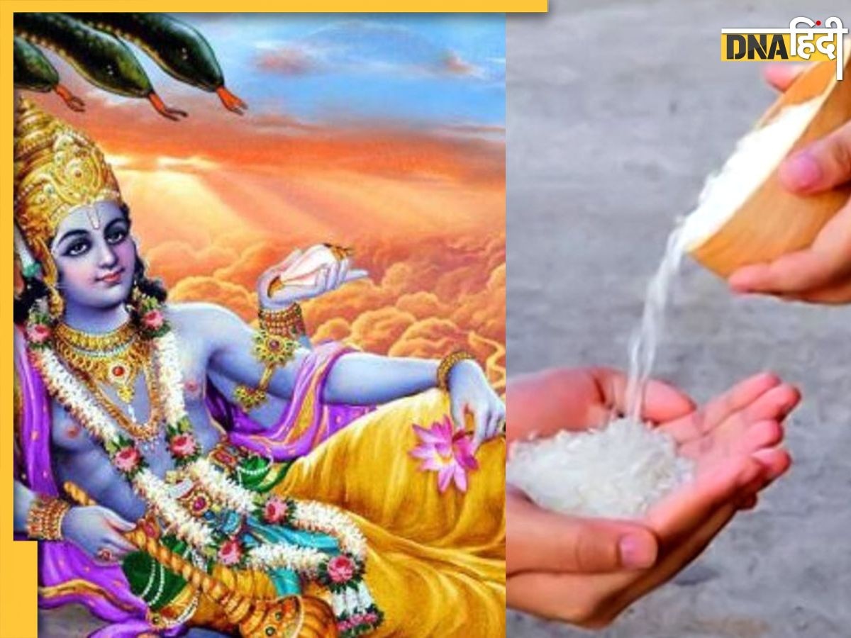 Vijaya Ekadashi 2024: विजया एकादशी पर करेंगे इन चीजों का दान तो खत्म हो जाएंगे कष्ट, सुख शांति के साथ आएगी समृद्धि