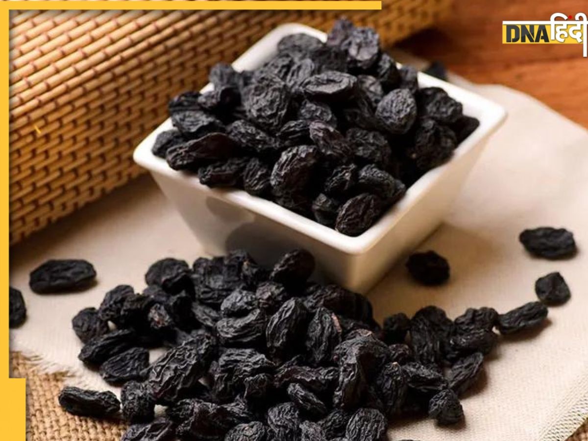 Black Raisins Benefits: आयुर्वेद में सुपरफूड मानी गई है ये काली किशमिश, बवासीर से लेकर स्किन तक में है फायदेमंद