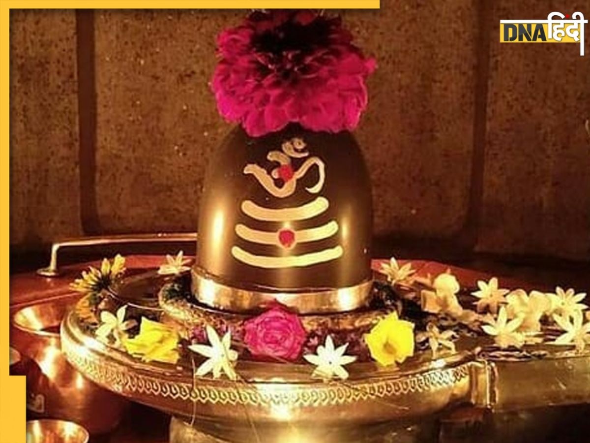 Mahashivratri के दिन शिवलिंग पर जरूर अर्पित करें ये 5 चीजें, भोलेनाथ की कृपा से पूरी होगी हर मनोकामना