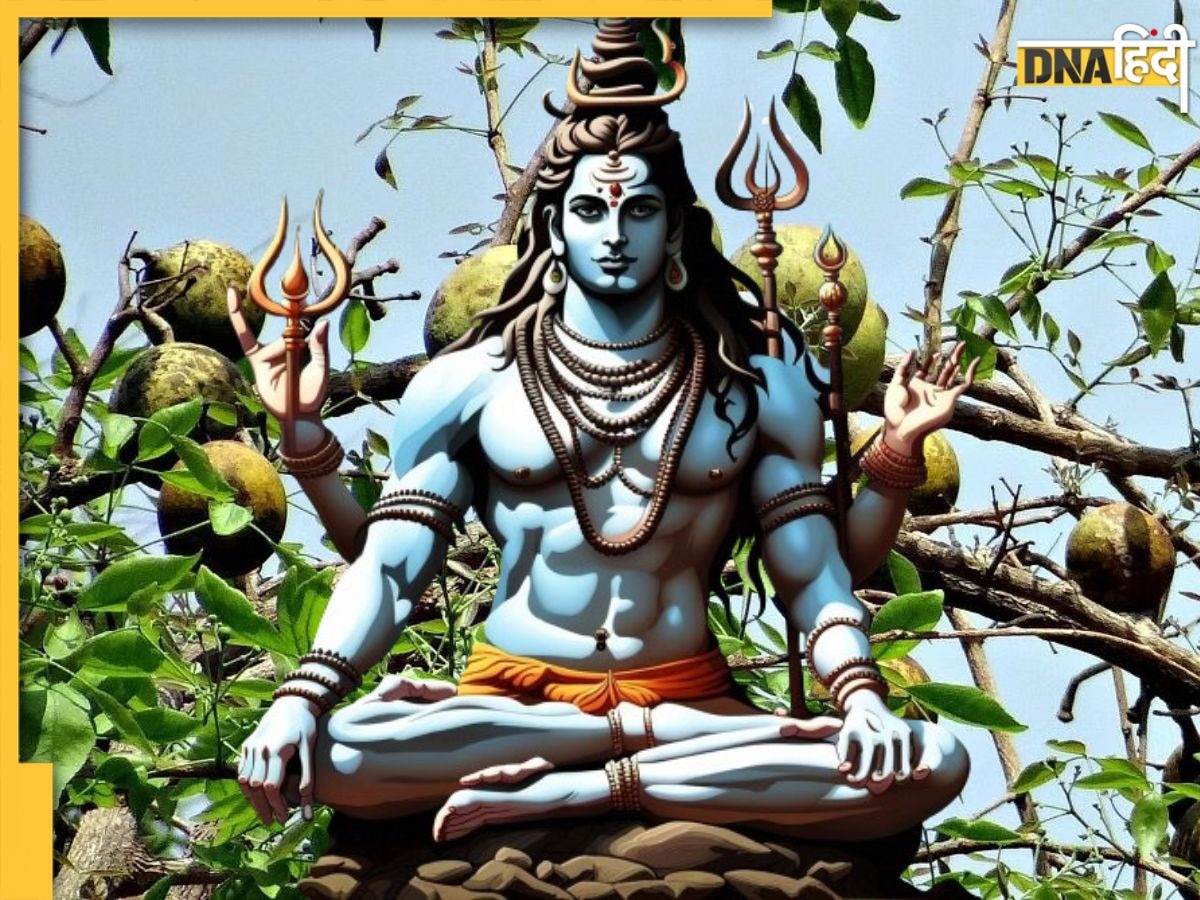 Mahashivratri 2024: शिव जी को चढ़ाने वाले बेल के हैं कई फायदे, बेलपत्र से लेकर बेल फल तक खाने से मिलेंगे ये 5 लाभ