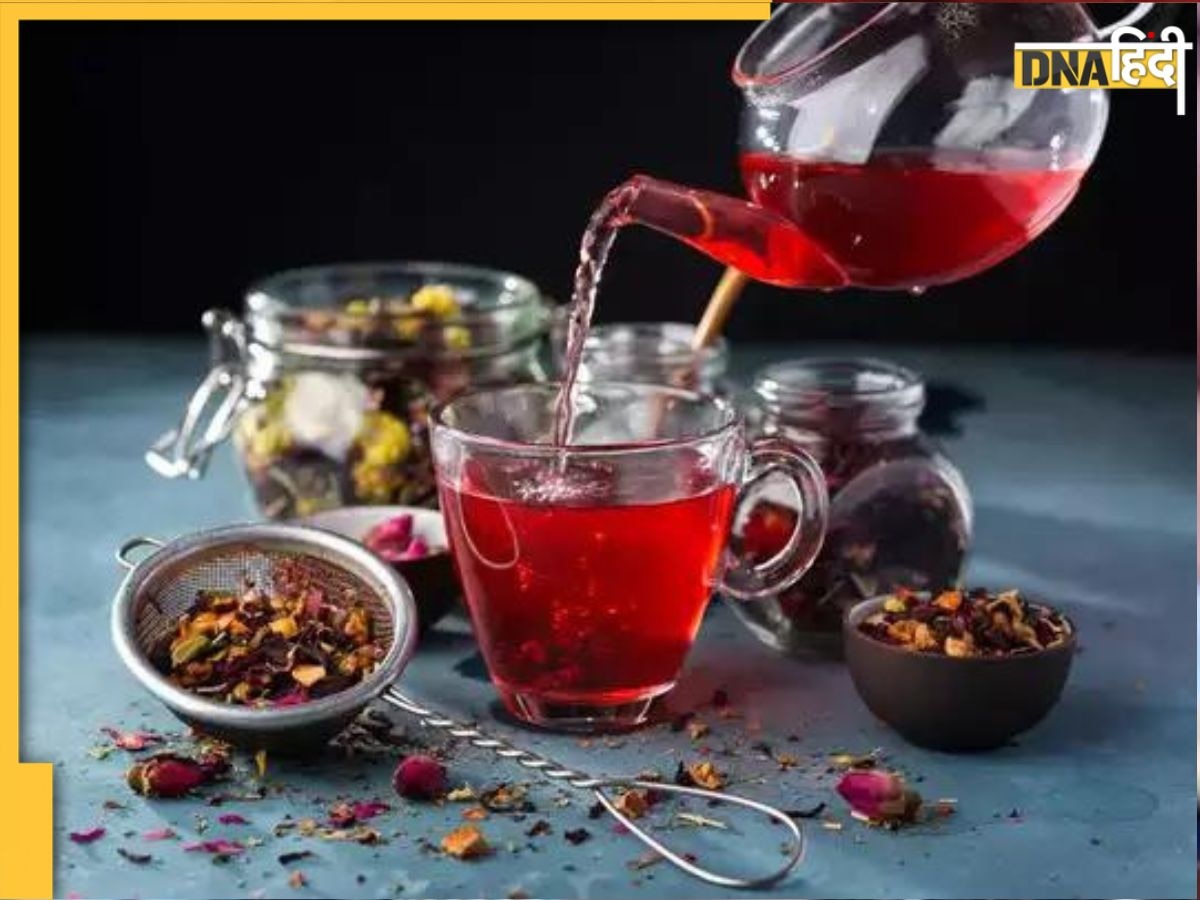 Hibiscus Tea Benefits: इस लाल फूल की चाय ब्लड प्रेशर से लेकर वेट तक को करती है कम, स्ट्रेस भी होगा मिनटों में छूमंतर