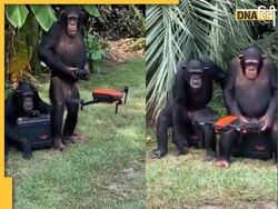 Viral News: चिंपांजी ने उड़ाया ड्रोन तो सोशल मीडिया पर हो गया वायरल, लोगों ने दी मजेदार प्रतिक्रिया, देखें वीडिय��ो