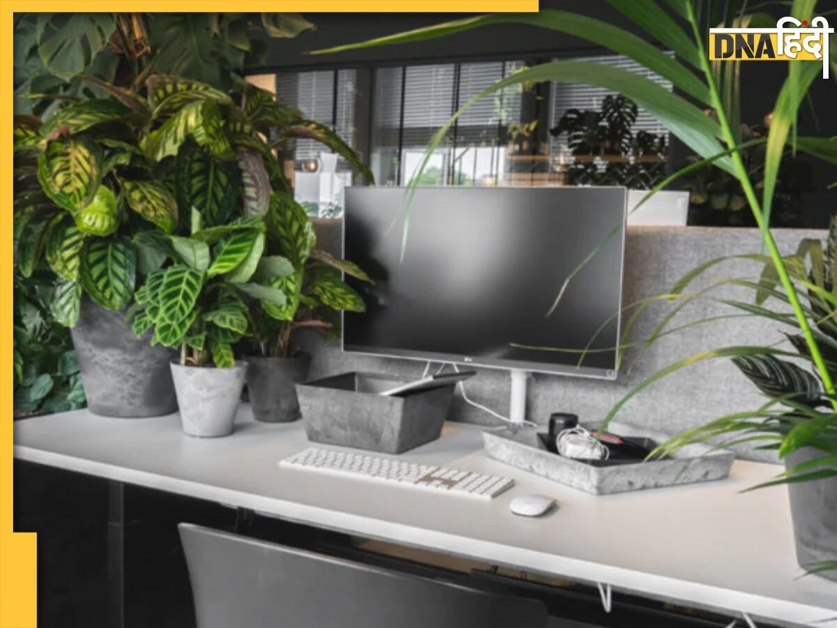 Vastu Tips For Office: ऑफिस के डेस्क पर भूलकर भी न रखें ये पौधे, नौकरी और व्यापार में मिलते हैं अशुभ फल