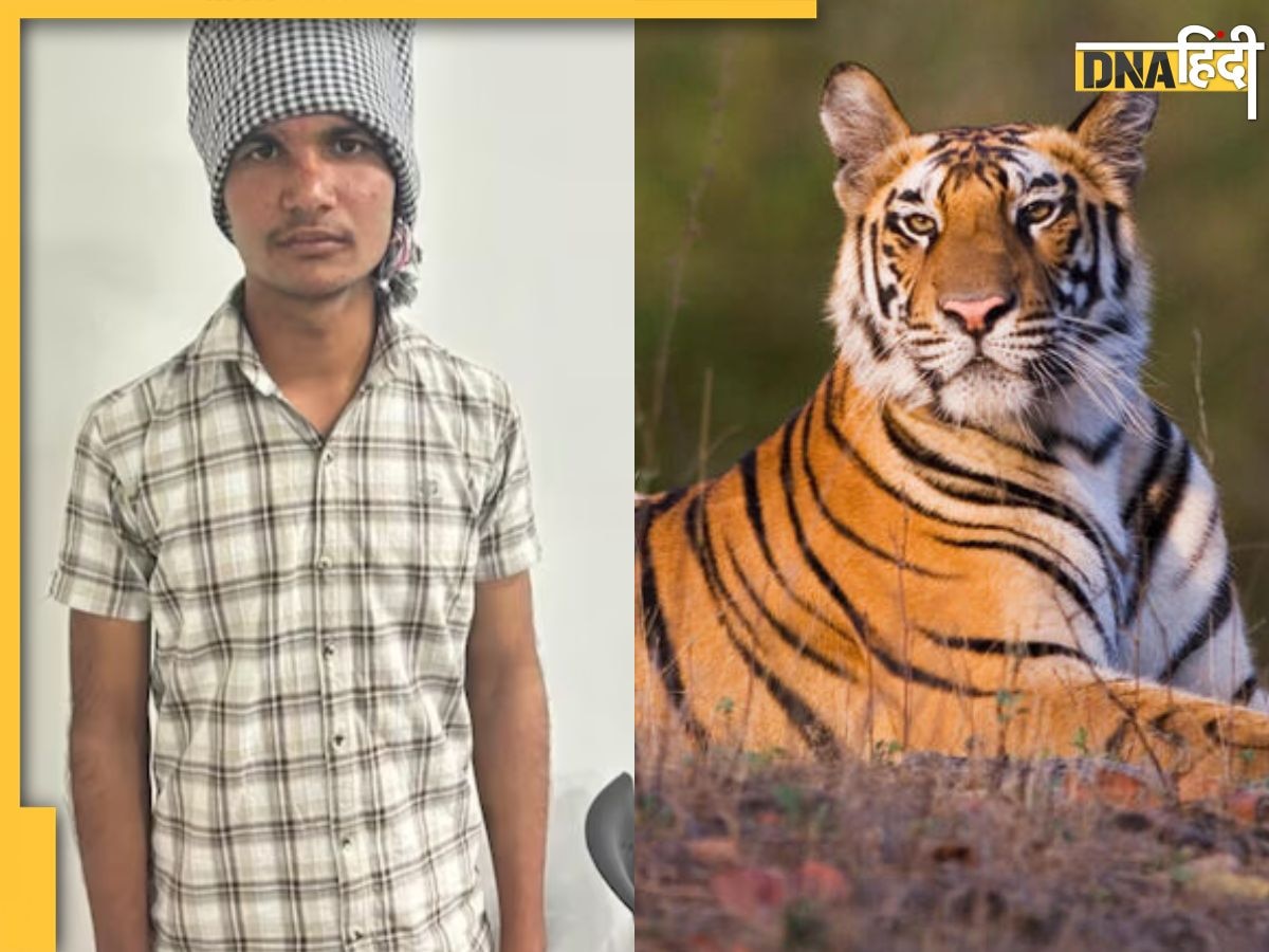 Tiger ने दबा ली थी गर्दन, 17 साल के लड़के ने उसकी जीभ खींचकर बचाई अपनी जान, हैरान कर देगी ये कहानी