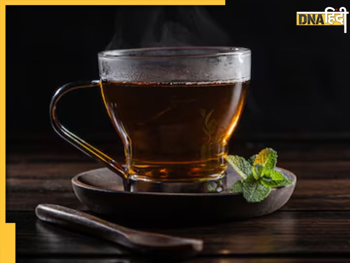 खराब पाचन से इम्युनिटी बढ़ाने तक, रोज Black Tea पीने से सेहत को मिलते हैं ये 5 फायदे