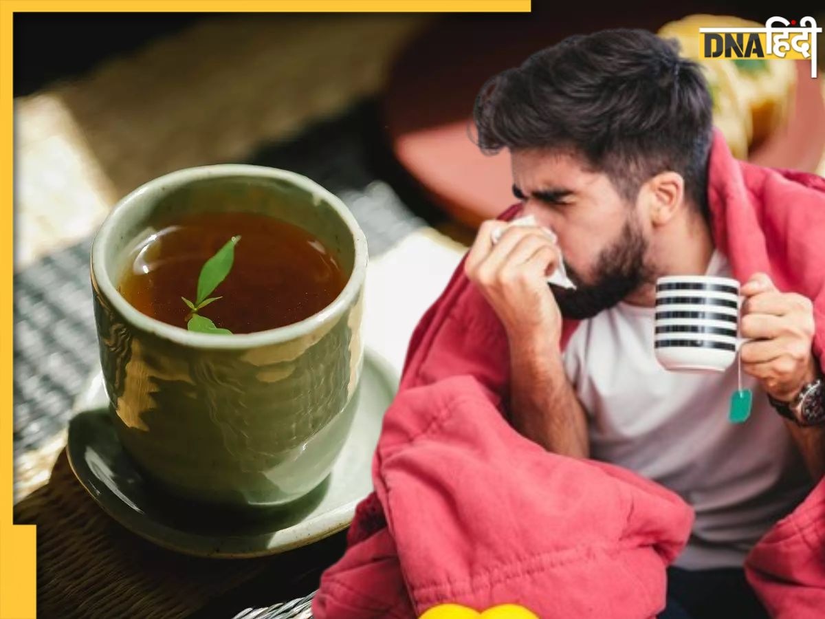 Cold-Cough Remedies: बदलते मौसम में परेशान कर रहा सर्दी-जुकाम तो पिएं ये 5 चाय