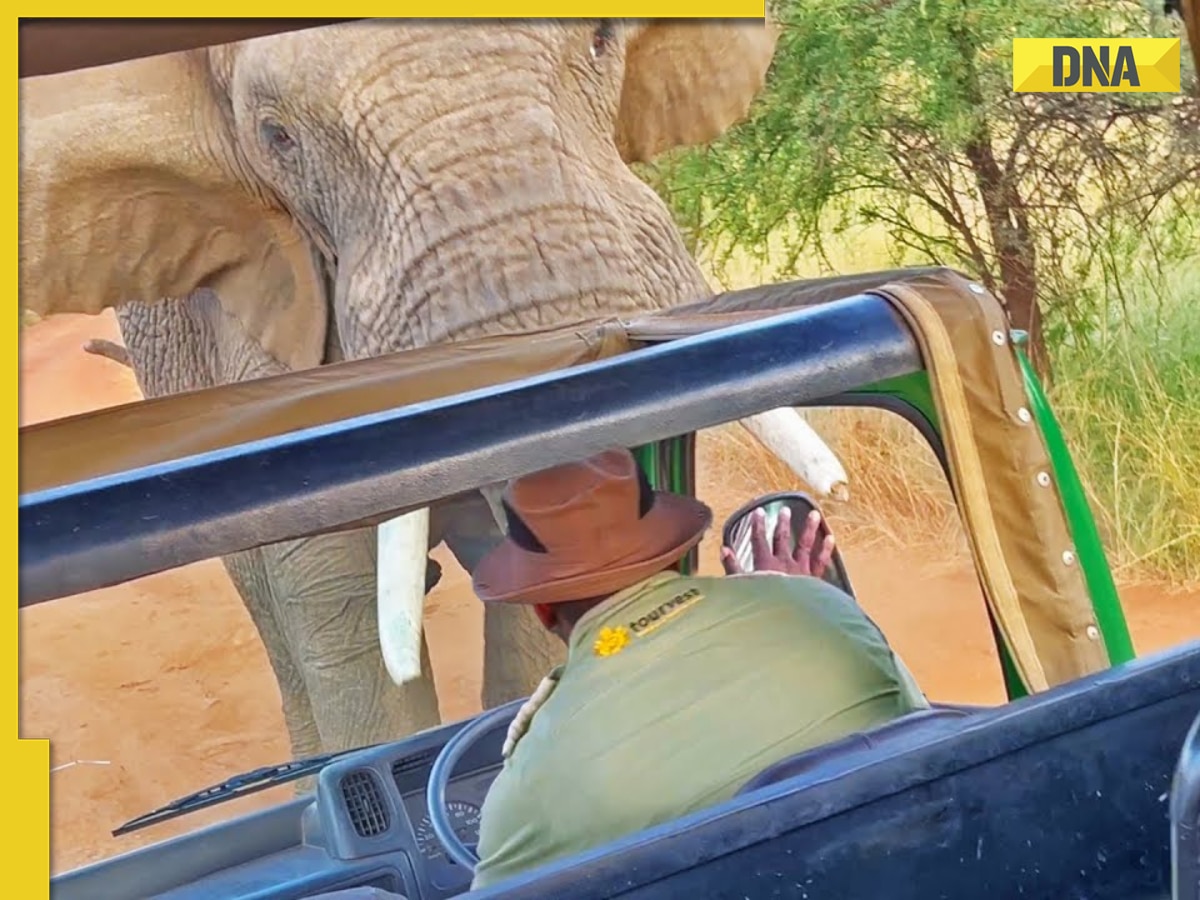 Viral video Elephant attacks safari jeep, lifts it up with tourists(04)