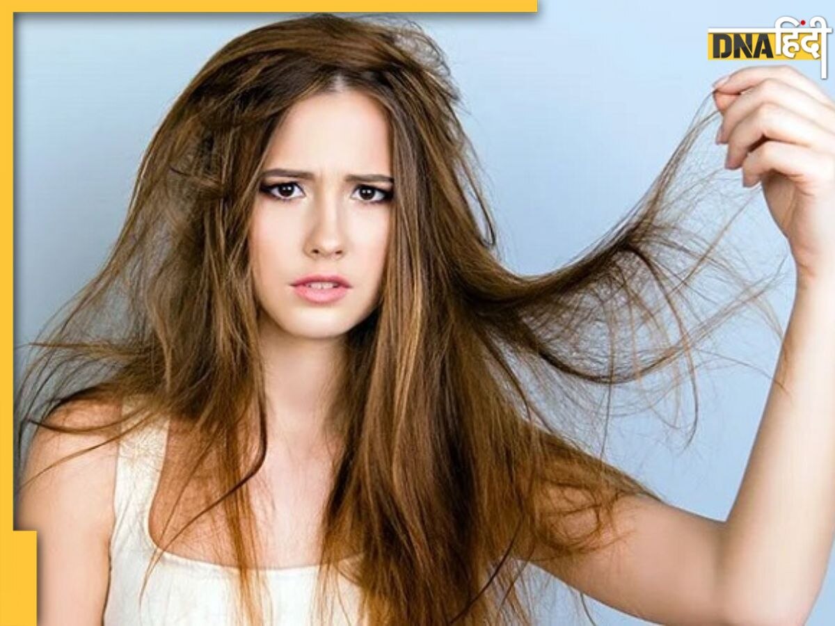 Dry Hair Treatment: रूखे और बेजान बालों की समस्या को दूर करेंगे ये घरेलू नुस्खे, मिलेंगे Silky Hair