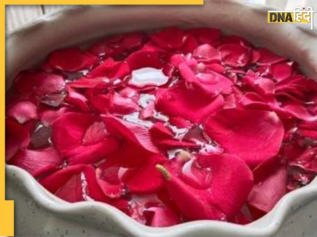 Benefits of Rose Petals: आंखों से लेकर ब्रेन तक के लिए औषधि है गुलाब की पंखुड़ी, जानिए इसके और भी फायदे