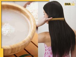 Hair Care: बाल झड़ने से हैं परेशान तो ऐसे इस्तेमाल करें चावल का पानी, होंगे जड़ से मजबूत