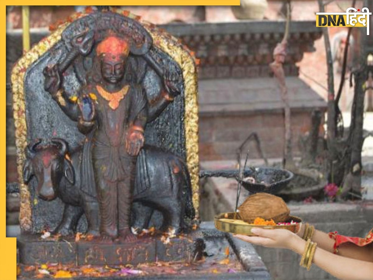 Shani Dev Puja: न्याय के देवता शनिदेव की पूजा में भूलकर भी न करें इन चीजों का इस्तेमाल, भुगतने पड़ेंगे गंभीर परिणाम