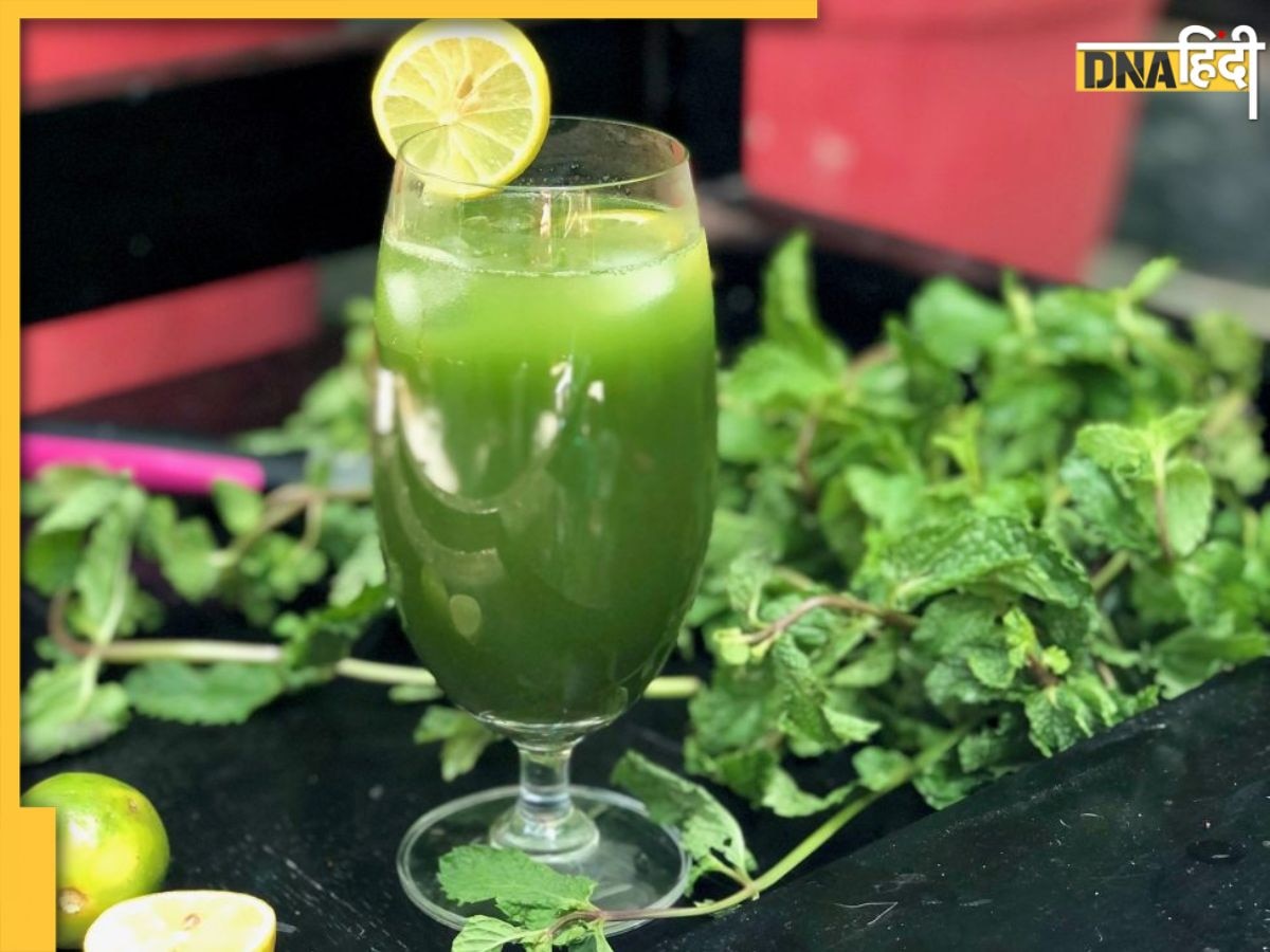 Summer Drinks Recipes: गर्मी में मिलेगा ठंडक का अहसास, इन हरी पत्तियों से झटपट बनाये 3 ठंडी-ठंडी ड्रिंक