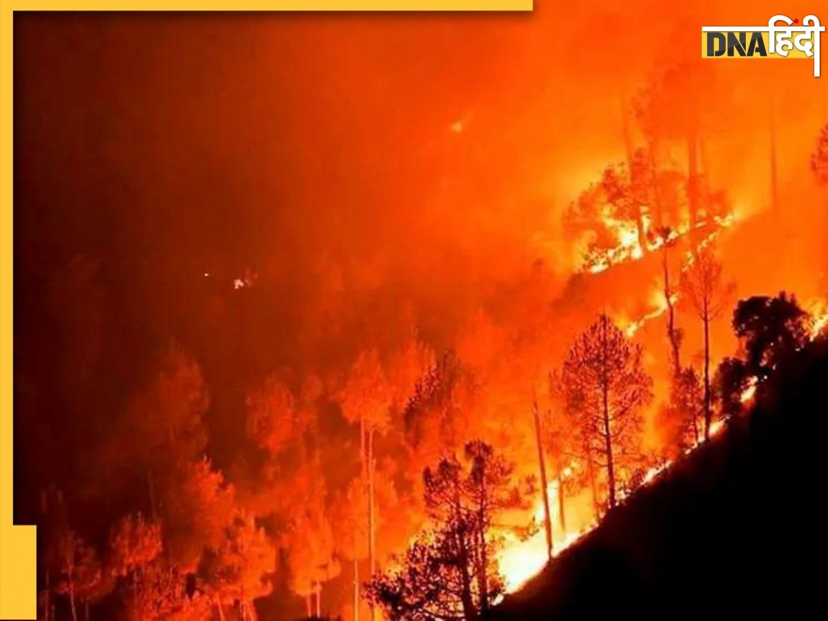 Uttarakhand Forest Fire: विकराल आग से दहक उठा उत्तराखंड, नैनीताल तक पहुंची आग 