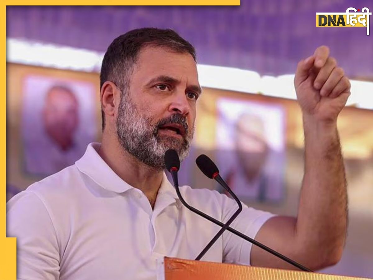 Rahul Gandhi पर सस्पेंस खत्म, रायबरेली से लड़ेंगे चुनाव, अमेठी से चुनावी मैदान में उतरे केएल शर्मा