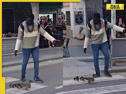 Viral video: Kind man assists duck family in crossing the road, internet lauds him