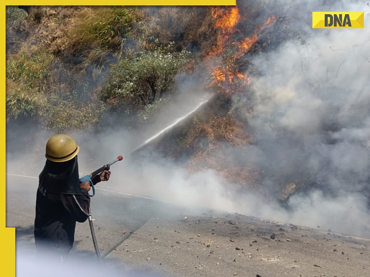 'Lackadaisical approach': SC slams Uttarakhand on controlling forest fires