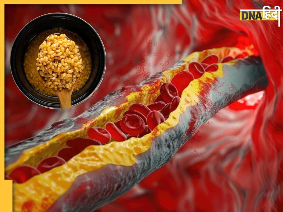 रोजाना उबालकर खा लें ये ताकतवर अनाज, धमनियों में जमा गंदा Cholesterol अपने आप पिघलकर निकल जाएगा बाहर