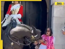 Viral video: King's Guard horse bites woman tourist as she touches it, watch here