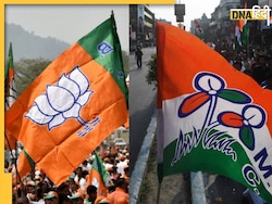 West Bengal News: वोटिंग से पहले बंगाल में भड़की हिंसा, BJP कार्यकर्ता की हुई मौत, TMC नेता गिरफ्तार 
