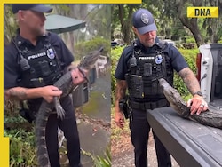 104-year-old woman finds 5-foot alligator outside her home, video goes viral