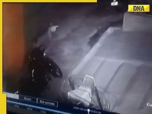 Caught on CCTV: Leopard's jaw-dropping leap over wall to snatch hen