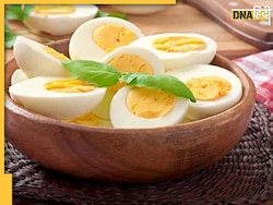 Cholesterol Myths: अंडे खाने से कोलेस्ट्रॉल बढ़ता है या नहीं? एग योक खाएं या फेंके, सब कुछ जान लें