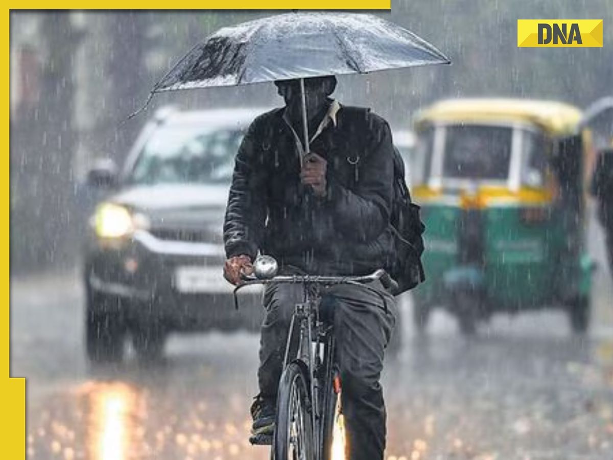 Weather update: IMD issues alert for rainfall, thunderstorm in several states, check forecast here