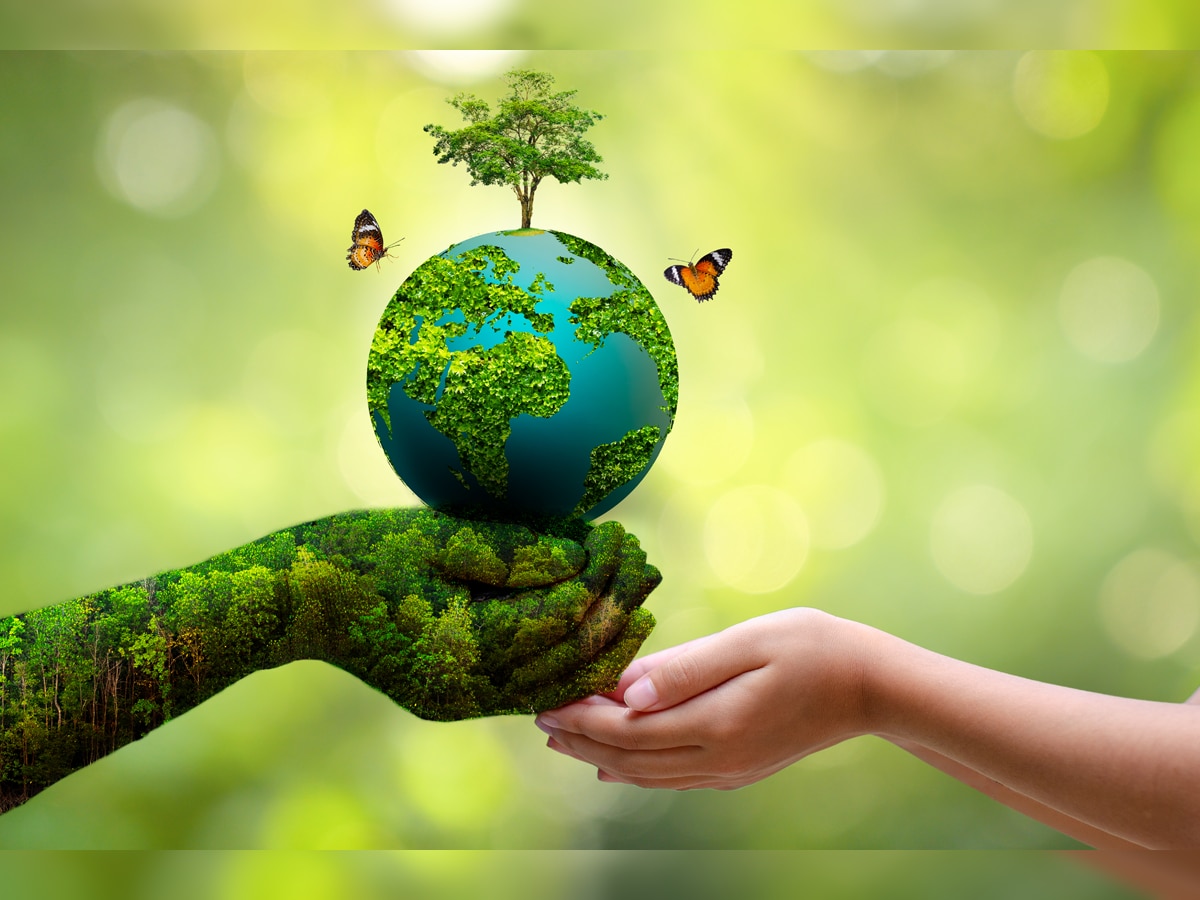 World Environment Day 2024: Date, history, significance and theme