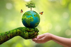 World Environment Day 2024: Date, history, significance and theme