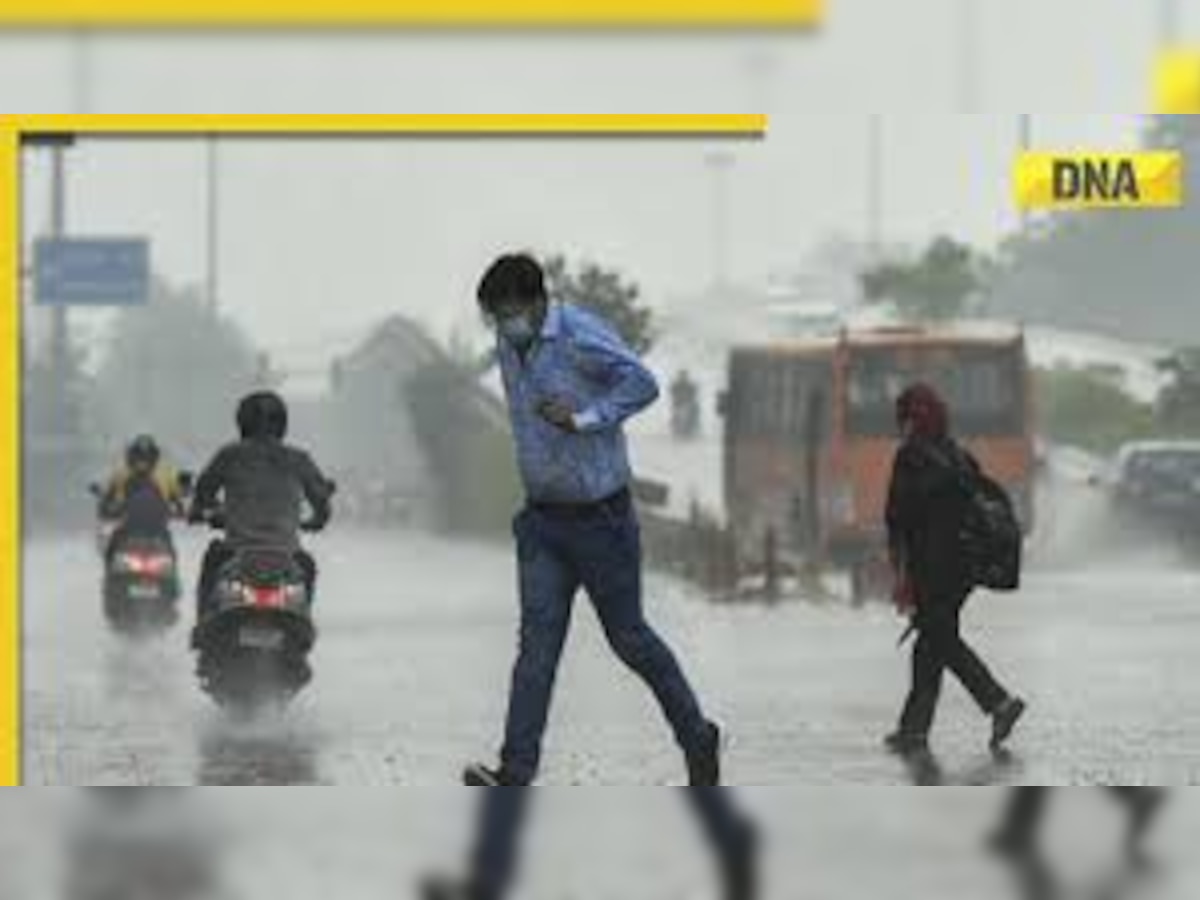 Weather update: IMD issues red alert for heavy rain, heatwave in these states; check full forecast for this week