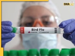 भारत में मिला Bird Flu का दूसरा केस, H9N2 वायरस की चपेट में आया 4 साल का बच्चा
