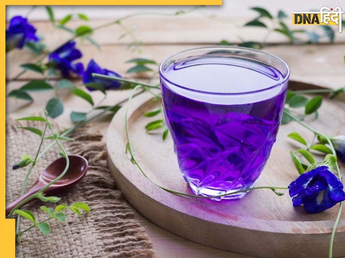 Blue Tea For Cholesterol: नीली चाय पीते ही कंट्रोल हो जाएगा कोलेस्ट्रॉल, नसों में चिपकी वसा और ट्रांसफैट की हो जाएगी सफाई