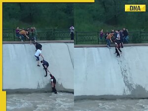 Viral video: People form human chain to save dog trapped in water ...