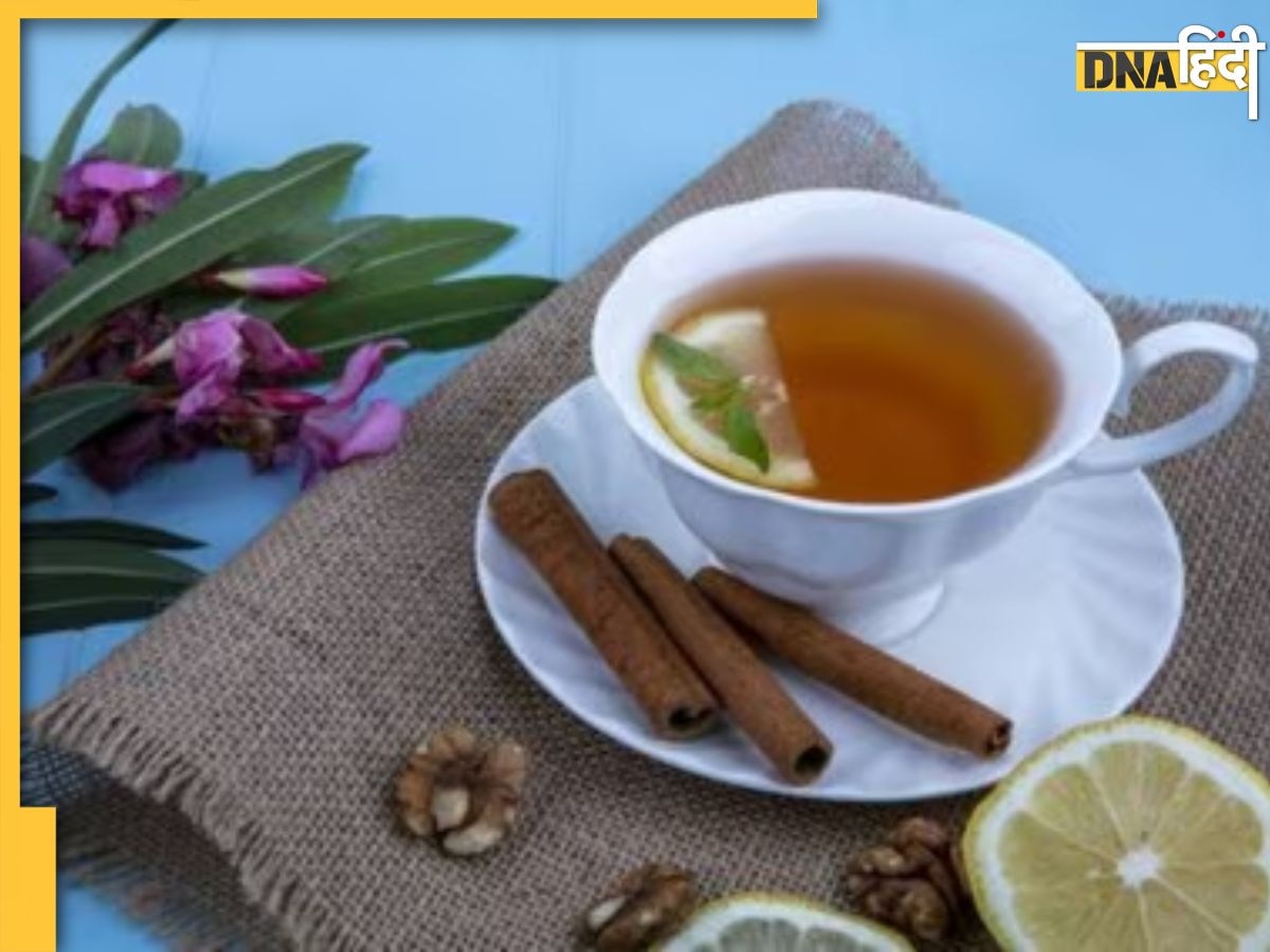 Cinnamon Benefits: डायबिटीज से लेकर पेट तक घटाता है ये एक मसाला, हर दिन पानी के साथ पीने पर मिलते हैं ये 4 फायदे