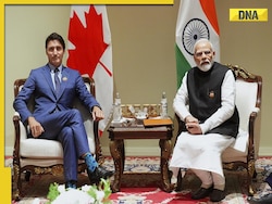 'Committed to...': Canadian PM Trudeau on bilateral talks with PM Modi at G7 Summit