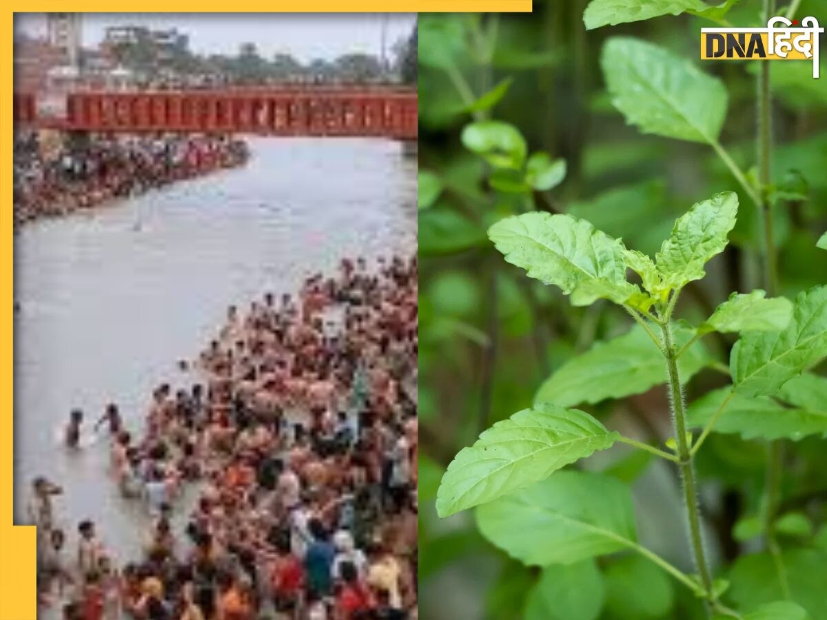 Ganga Dussehra 2024: गंगा दशहरा पर कर लिए ये 3 उपाय तो पापों से मुक्ति के साथ दूर हो जाएगी धन की कमी