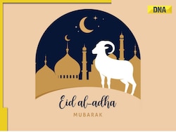 Eid ul Adha 2024: Wishes, Images, WhatsApp messages, quotes to wish Bakrid Mubarak to loved ones