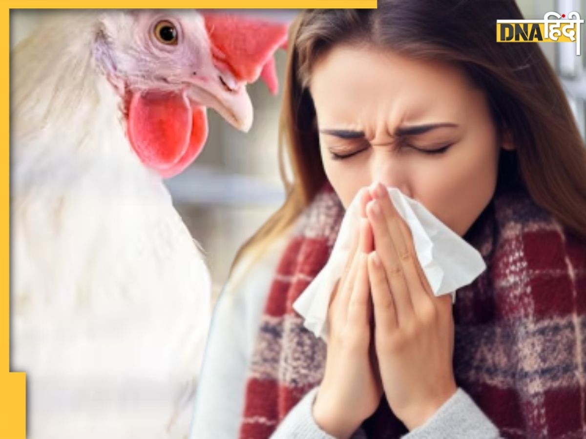 COVID-19 से कई गुना अधिक तबाही लाएगा Bird Flu! कभी भी ले सकता है महामारी का रूप: US Expert