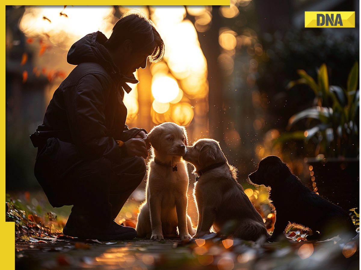 This star has 116 dogs, who live in a Rs 45-crore property Meet star who has 116 dogs, bought Rs 45-crore luxurious property for them, once slept on footpath, now owns 40 houses