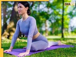 Yoga करने से पहले इन खास बातों का रखें ख्याल, नजरअंदाज किया तो हो जाएगा बड़ा नुकसान