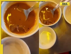 Watch: Customer finds dead rat in Sambar at Ahmedabad restaurant, viral video sparks outrage