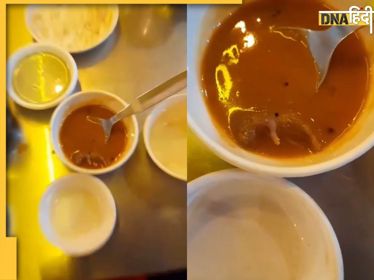 Chocolate Syrup के बाद अब अहमदाबाद में सांभर में मिला 'मरा हुआ चूहा', देखें Shocking Video 