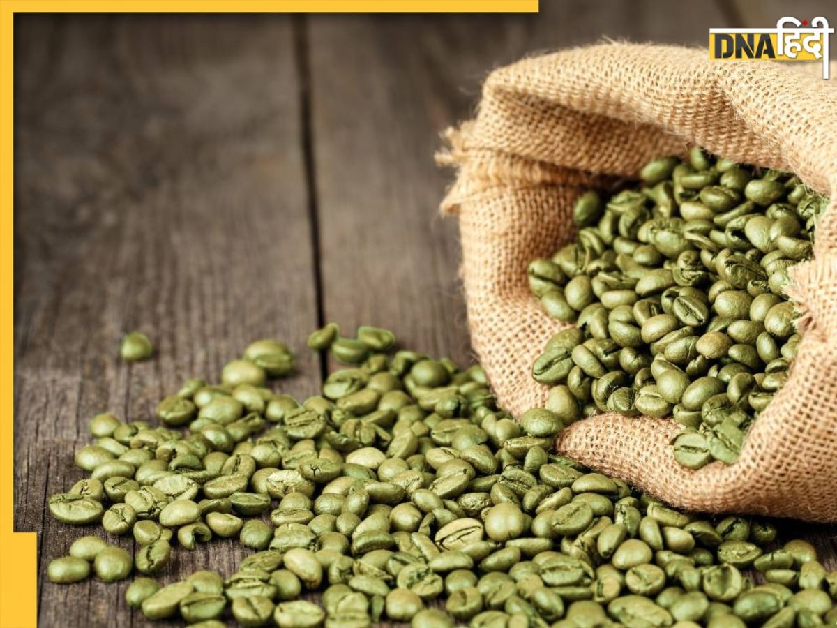 Green Coffee Benefits: इन हरे-भरे कॉफी के दाने में है आपकी 7 बीमारियों का इलाज, शुगर से लेकर वेट तक कम हो जाएगा