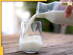 Milk And Methi Drink: डायबिटीज मरीज दूध में घोलकर पी लें ये 1 चीज, कंट्रोल म�ें रहेगा बीपी, शुगर से लेकर कोलेस्ट्रॉल