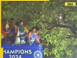 Watch: Fan climbs tree to watch Team India's victory parade up close, video goes viral