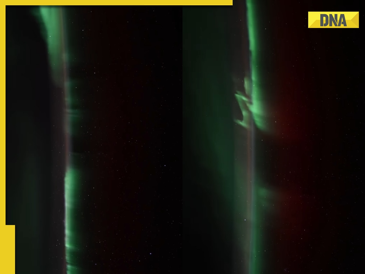 'Nature's fireworks': ISS captures stunning green aurora dancing in night sky, watch